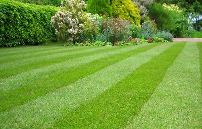 Orgaanilised maheväetised 3 Viano MO Bacter Organic Lawn Fertiliser 20kg 1