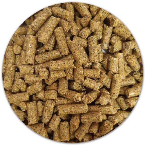 Täiendsööt lammastele