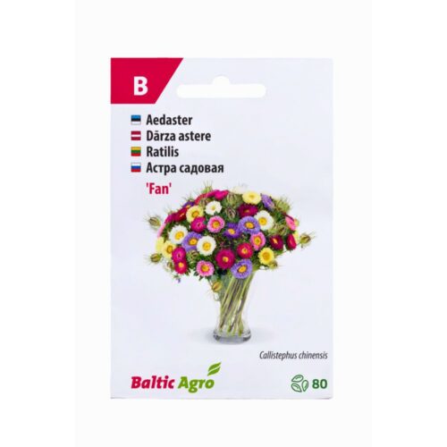 Aster Fan 80s 7 9501016643035