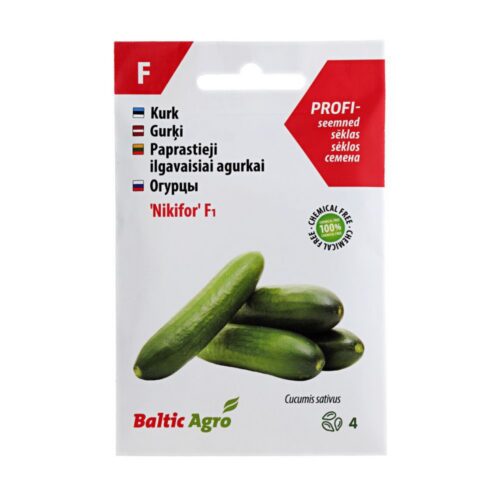Kurk Nikifor F1 4s 4 CUCUMBERNIKIFOR.4
