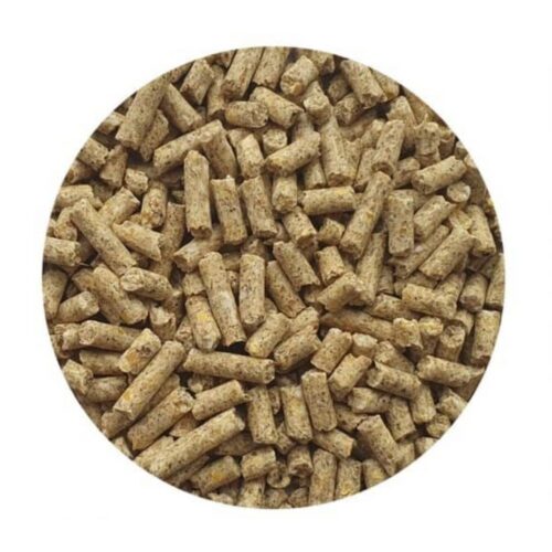 Täissööt põrsastele