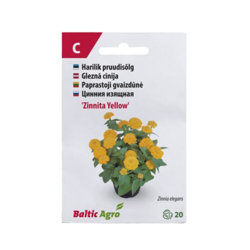 BA F.ZINNITAYELLOW.20