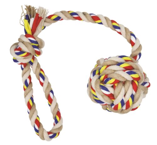 5904479155153 scaled