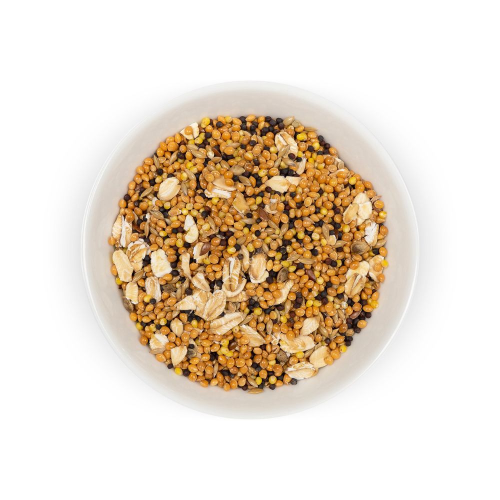 4823082410781 2 Priroda bariba kanarijputniniem Canary 500 g