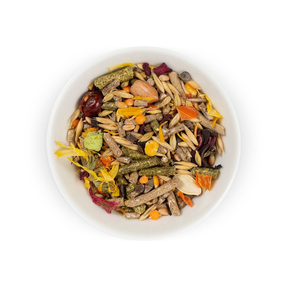 4823082413782 2 Priroda bariba grauzejiem FIESTA Degu 600 g