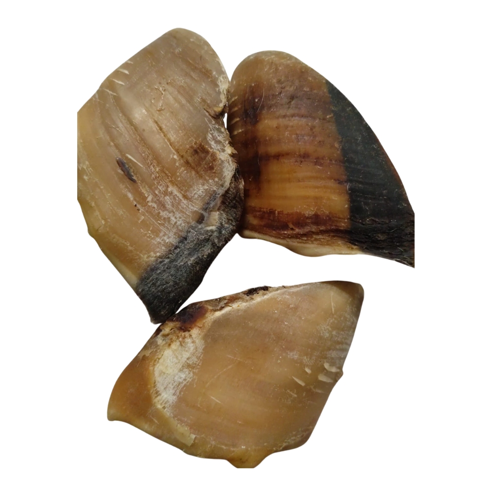 5907649610308 2 Grizy kaltejumi Liellopa nags 200 g