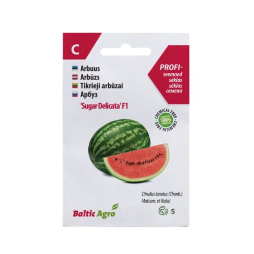 BA WATERMELONSUGARDELI 1