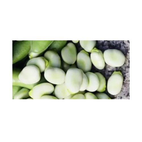 BA BROADBEANHANGDOWN.50